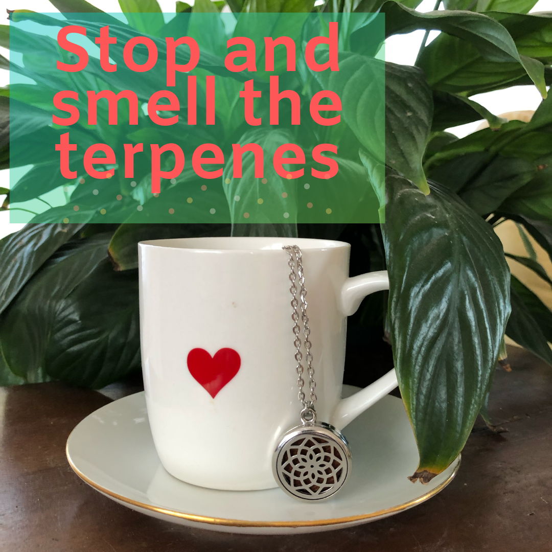 smell the terpenes