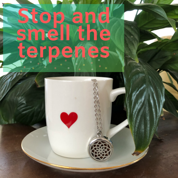 smell the terpenes